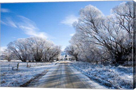 Framed Hoar Frost near Oturehua, Central Otago, South Island, New Zealand Print