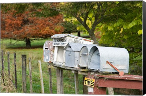 Framed Letterboxes, King Country, North Island, New Zealand Print