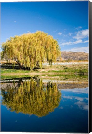 Framed Domain Road Vineyard, Bannockburn, South Island, New Zealand Print