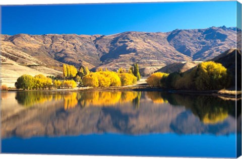 Framed Pisa Range and Lowburn Inlet, Lake Dunstan near Cromwell, Central Otago Print