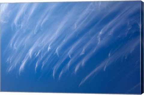 Framed Cirrus Clouds, Dunedin, Otago, South Island, New Zealand Print