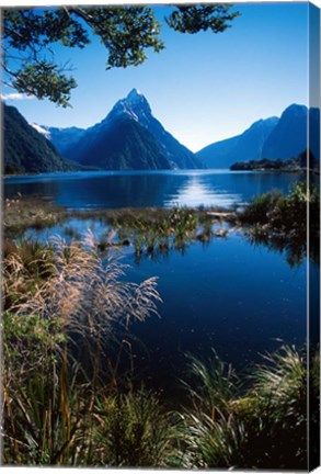 Framed New Zealand, Mitre Peak, Milford Sound, Fiordland NP Print