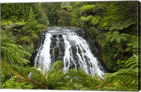 Framed Owharoa Falls, Karangahake Gorge, Waikato, North Island, New Zealand Print