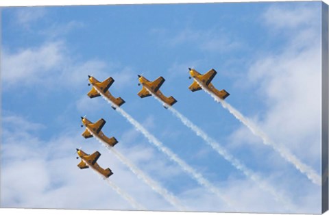 Framed Vintage Airplanes Print