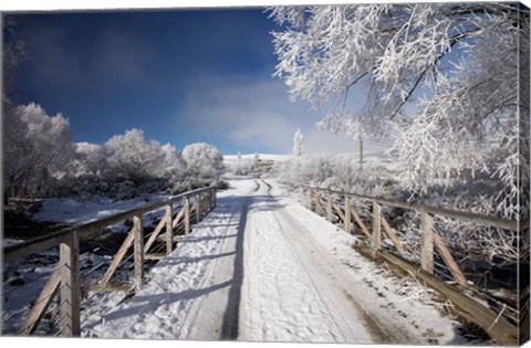 Framed Winter, Bridge, Maniototo, South Island, New Zealand Print