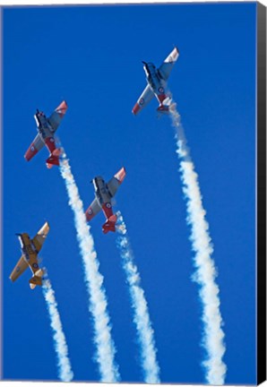 Framed Aerobatic display by North American Harvards, or T-6 Texans, or SNJ, Airshow Print