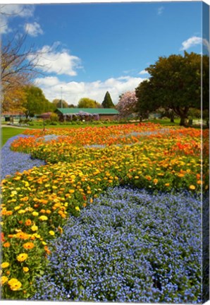 Framed Flower garden, Pollard Park, Blenheim, Marlborough, South Island, New Zealand (vertical) Print