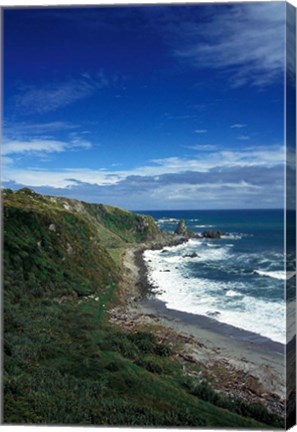 Framed New Zealand, South Island, Cape Foulwind coastline Print