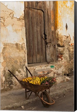 Framed Bananas in wheelbarrow, Havana, Cuba Print