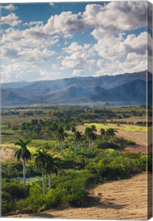 Framed Cuba, Trinidad, Valle de los Ingenios, Valley Print