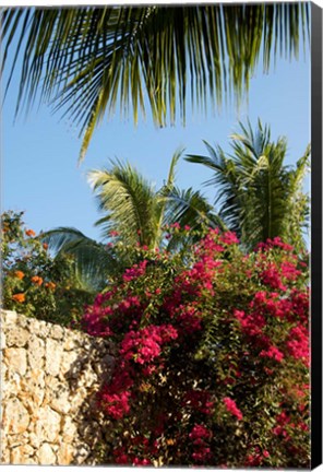 Framed Viva Wyndham Dominicus Beach, Bayahibe, Dominican Republic Print