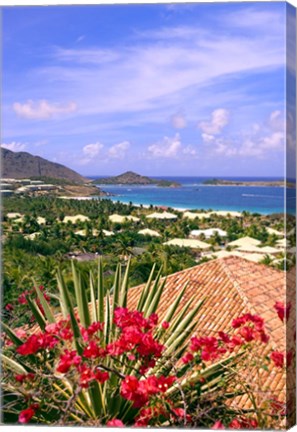 Framed Orient Bay and pink flowers, St Martin, Caribbean Print