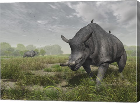 Framed Brontotherium wander the lush late Eocene landscape Print