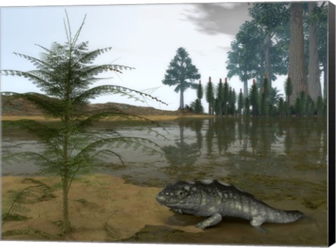 Framed Late Devonian Ichthyostega emerges from Waters of a Floodplain Print