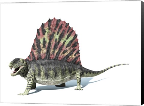 Framed 3D Rendering of a Dimetrodon Dinosaur Print