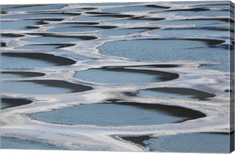 Framed Spotted Lake, Osoyoos, British Columbia, Canada Print