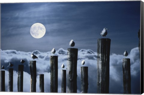 Framed Seagulls Perched on Wooden Posts under a Full Moon Print