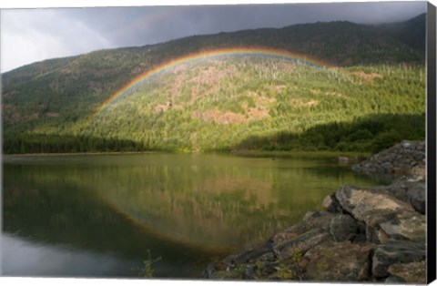 Framed Buttle Lake, Vancouver Isl, British Columbia Print