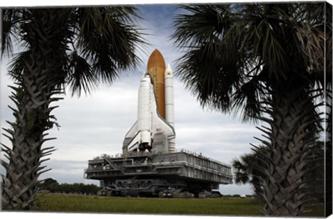 Framed Palmetto Trees Frame Space Shuttle Endeavour as it Rolls Toward the Launch Pad Print