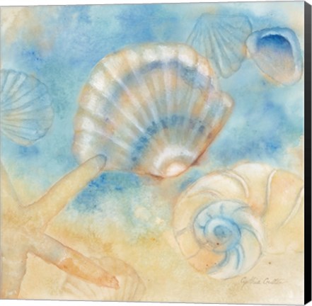 Framed Watercolor Shells II Print