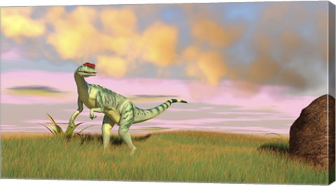 Framed Dilophosaurus Hunting in an Open Field Print