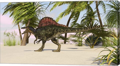 Framed Spinosaurus Hunting for Food Print