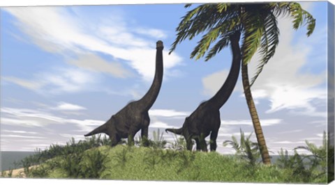 Framed Two Large Brachiosaurus Grazing Print