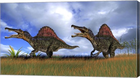 Framed Two Spinosaurus Hunting Print