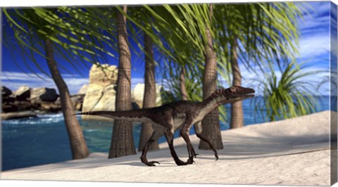 Framed Utahraptor Walking Along the Shore Print