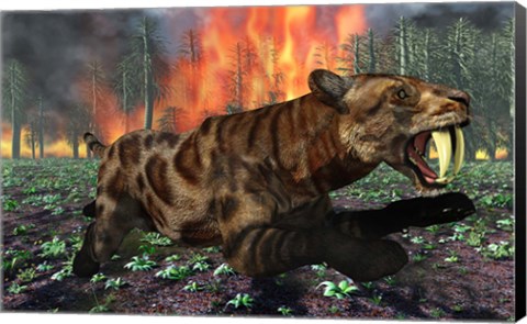 Framed Saber Toothed Tiger Running from Fire Print