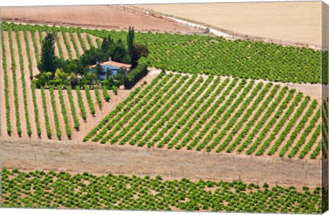 Framed Spain, Granada Crops of the Andalusia Valley Print