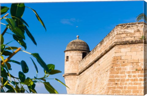 Framed City ramparts, Palma de Mallorca, Majorca, Balearic Islands, Spain Print