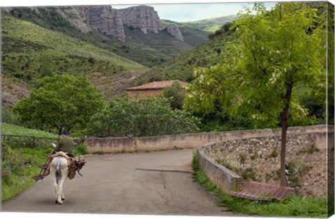 Framed Old man rides a donkey loaded with wood, Anguiano, La Rioja, Spain Print