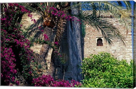 Framed Plams, Flowers and Ramparts of Alcazaba, Malaga, Spain Print