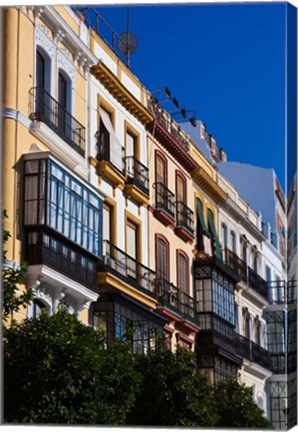 Framed Spain, Seville, Avenida Constitucion Avenue Print