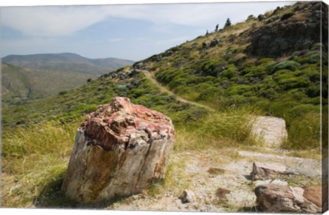 Framed Petrified Forest, Sigri, Lesvos, Mithymna, Northeastern Aegean Islands, Greece Print