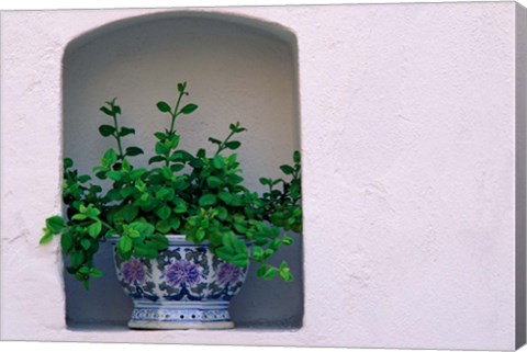 Framed Alcove Plant, Santorini, Greece Print