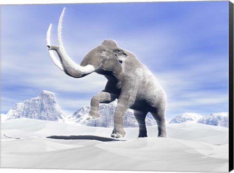 Framed Large Mammoth Walking Slowly on the Snowy Mountain Print