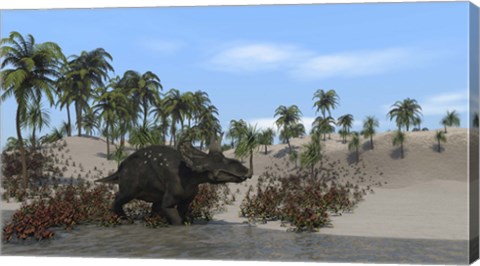 Framed Triceratops Walking along the Shoreline 1 Print