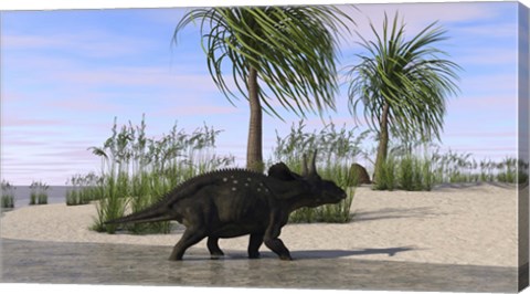 Framed Triceratops Walking along the Shoreline 2 Print