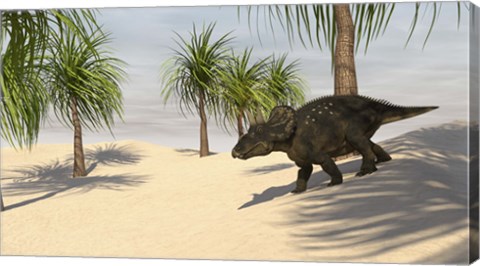 Framed Triceratops Walking in a Tropical Environment 2 Print