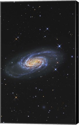 Framed NGC 2903 is a barred spiral galaxy in the Constellation of Leo Print