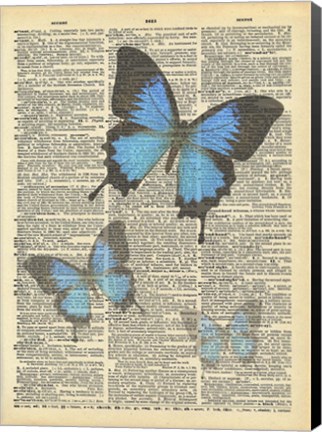 Framed Secret Butterfly I Print