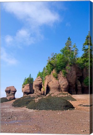 Framed Bay of Fundy Hopewell Rocks Print