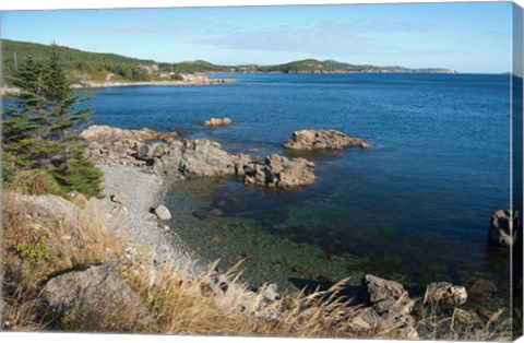 Framed Twillingate Coastline Print