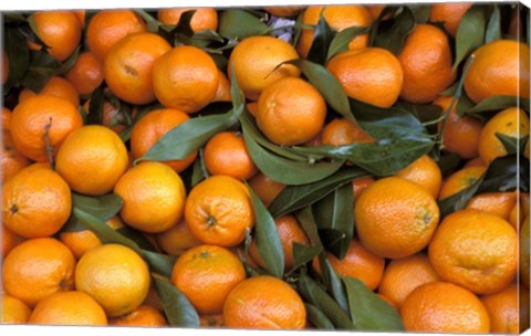 Framed Oranges, Nasch Market, Austria Print