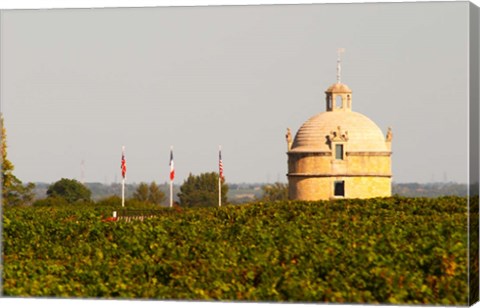 Framed Tower and Flags of Chateau Latour Vineyard Print