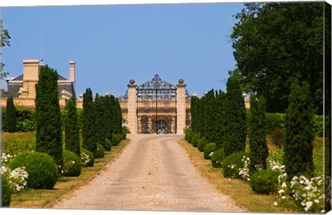 Framed Chateau Haut Sarpe, Saint Emilion, Bordeaux, France Print