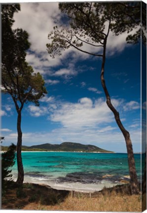 Framed Plage de Palombaggia Beach, Porto Vecchio Print