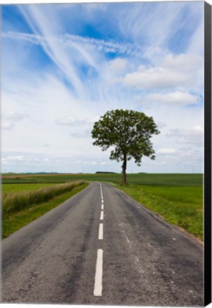 Framed Road through the countryside, Beaumont, Somme, Picardy, France Print